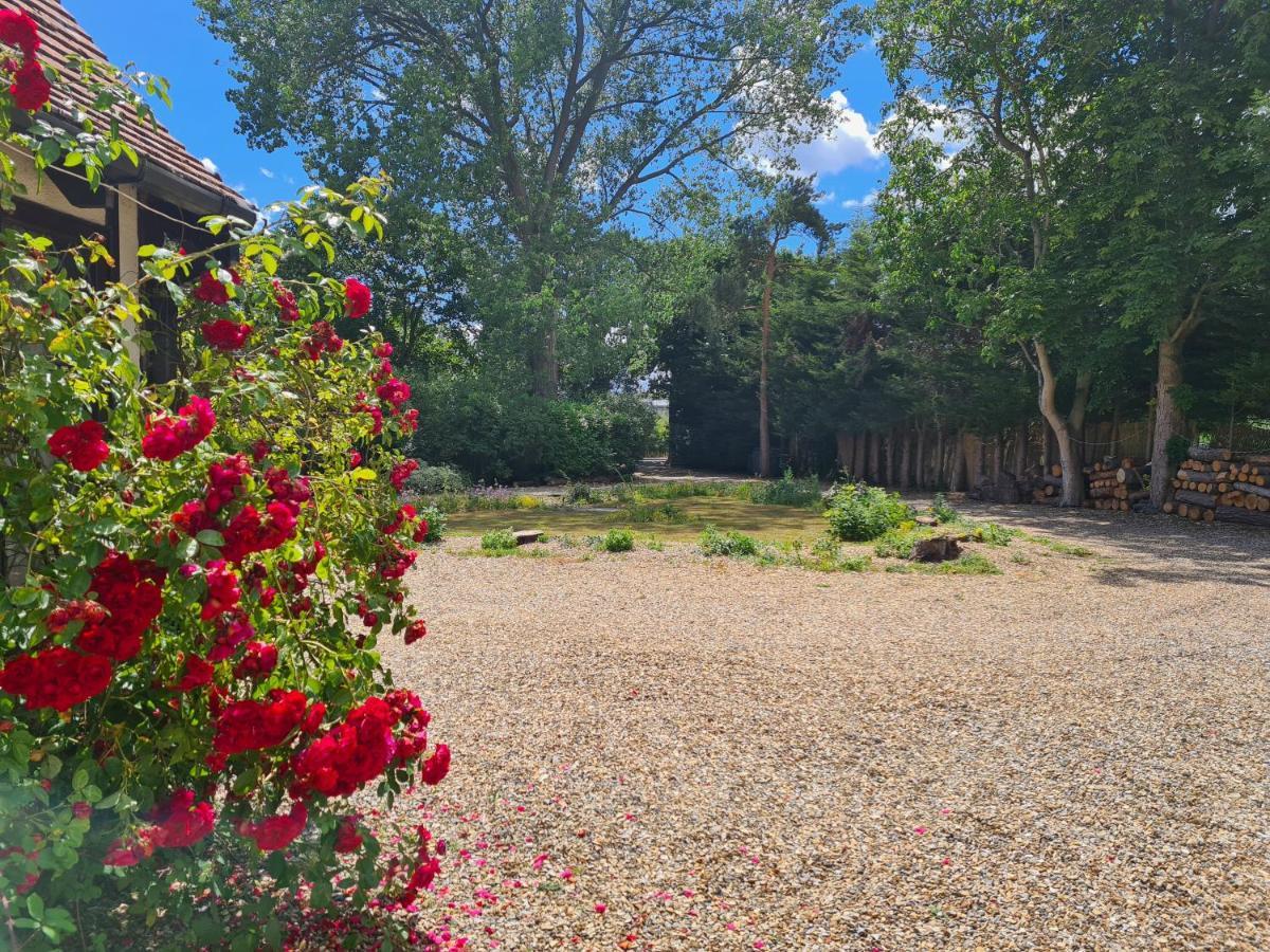 The With Gardens And Koi Pond Appartement *
